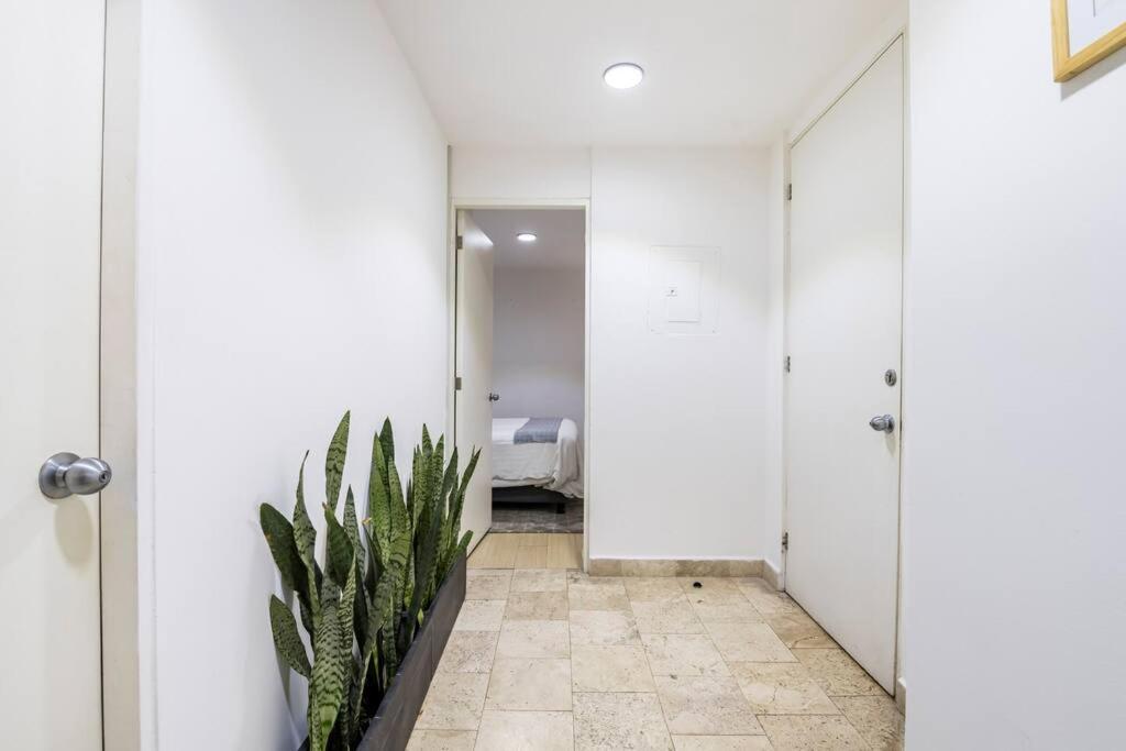 Loft Donceles 6 Cdmx! Apartment Kota Meksiko Bagian luar foto